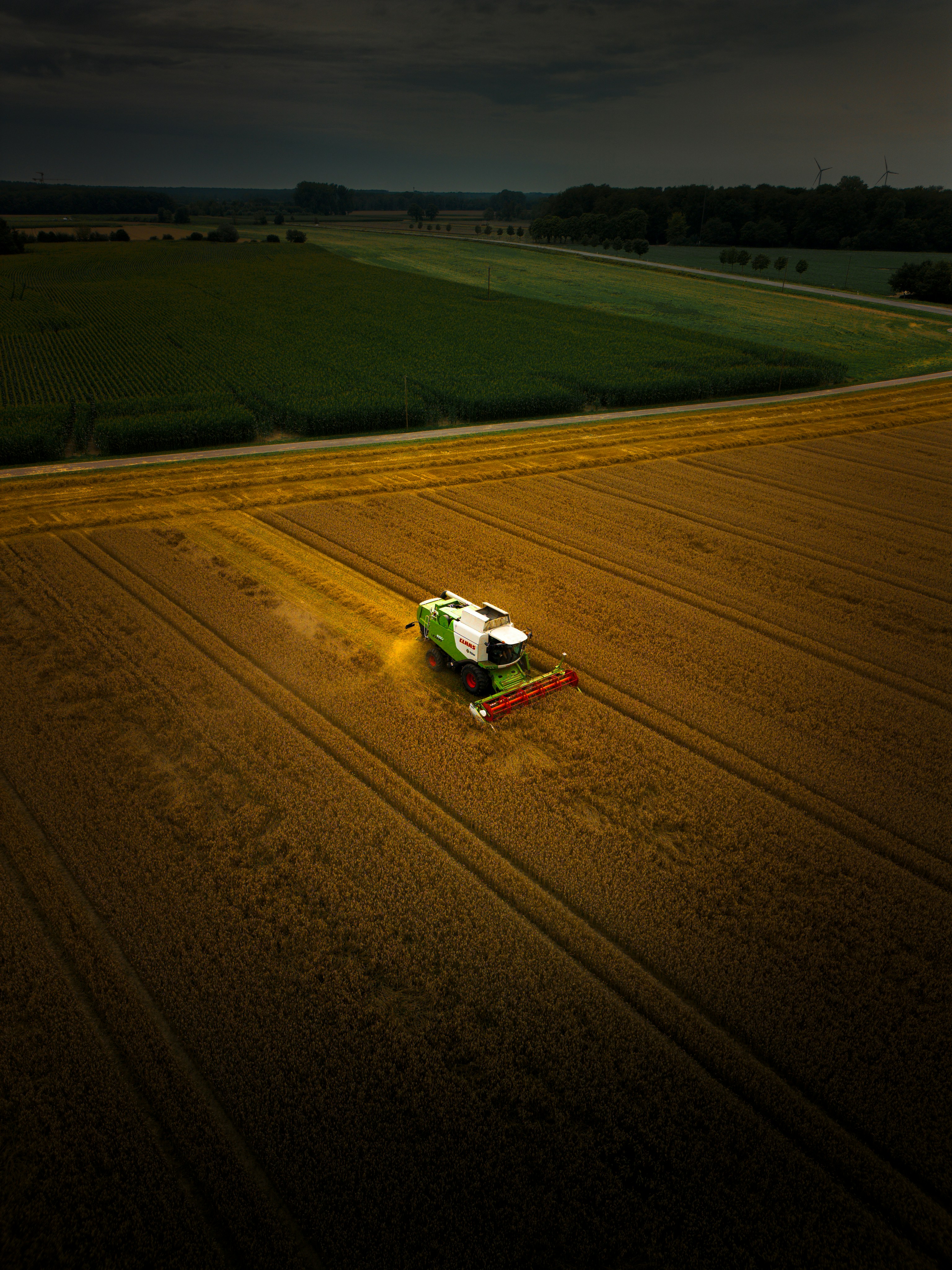 Crop monitoring