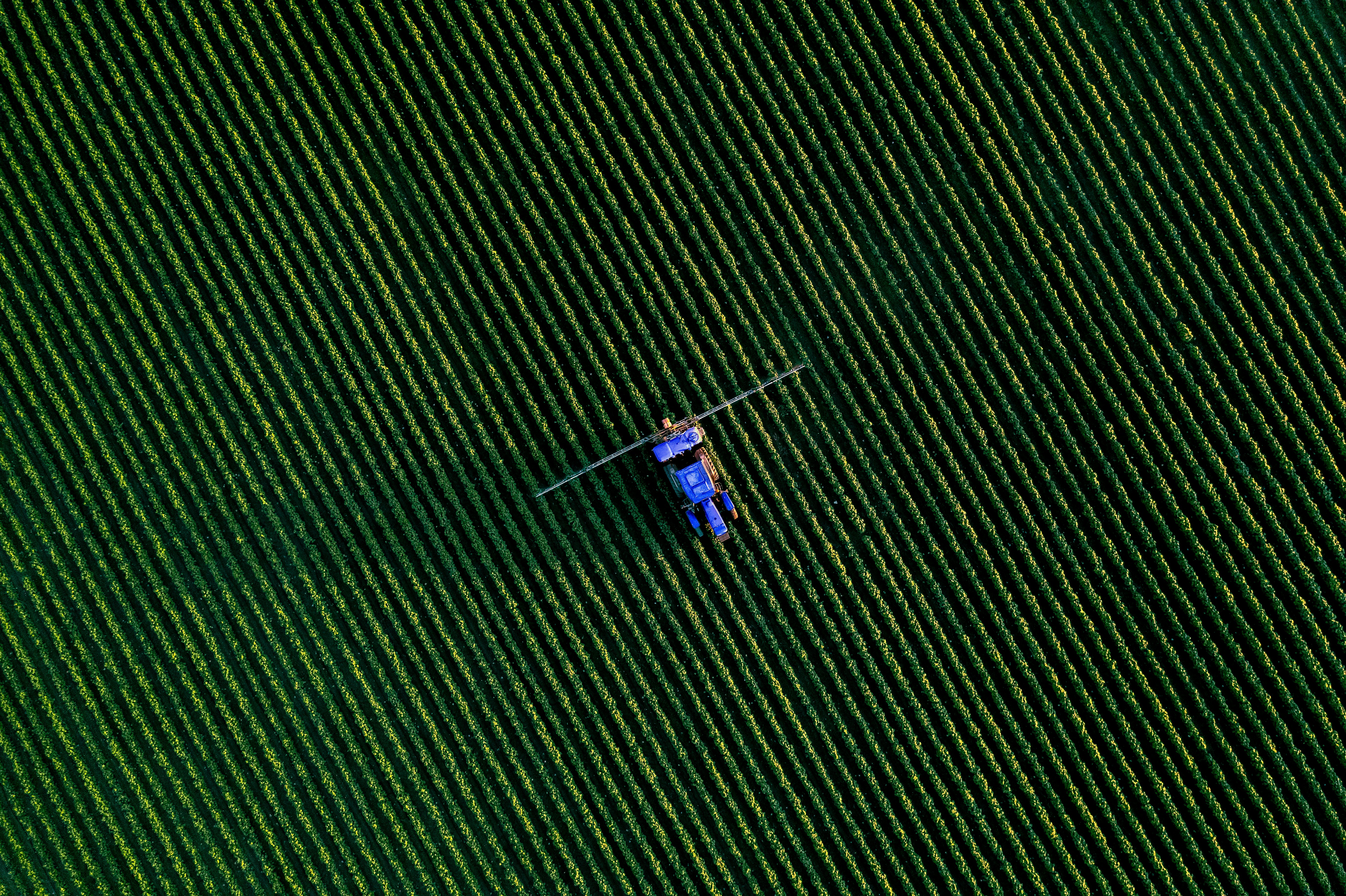 Farm field